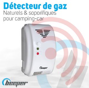 1 DETECTEUR DE GAZ NATURELS ET SOPORIFIQUES 12V