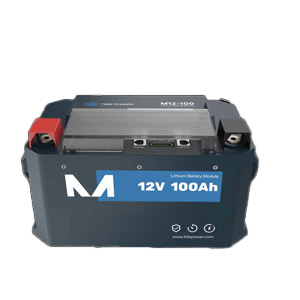 1 BATTERIE LITHIUM 100 AH IDM TECHNOLOGIES