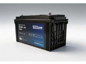 1 BATTERIE AGM 125AH VECHLINE