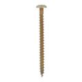 100VIS AGGLO 5X60 TR CRUC TRAIT BTE de 100 REMPLACE X813690S
