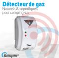 1 DETECTEUR DE GAZ NATURELS ET SOPORIFIQUES 12V