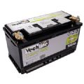1 BATTERIE LITHIUM 200AH VECHLINE*