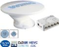 1 ANTENNE OMNI WING