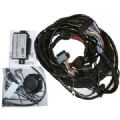 1 FAISCEAU X250 DES 2007 POUR CHASSIS RALLONGES 8 A 10M