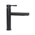 1 ROBINET D'EVIER NOIR AVEC DEUX FLEXIBLES PUSH FIT 10MM