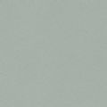 BANDE DE CHANT NON ENCOLLEE COLORIS FIELD GREY - LE METRE