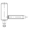 1 GOND ANTIDEGONDABLE MALE